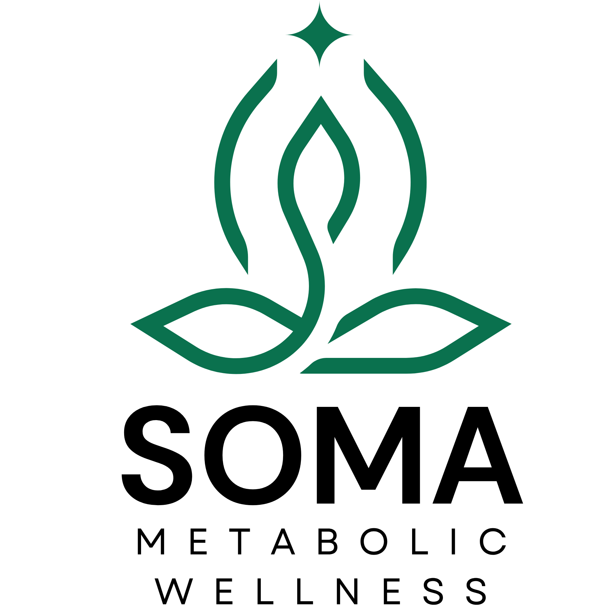 Soma Metabolic Wellness logo